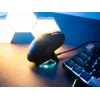 Tracer GameZone Nord belaidė žaidimų pelė juoda