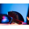 Tracer GameZone Nord belaidė žaidimų pelė juoda