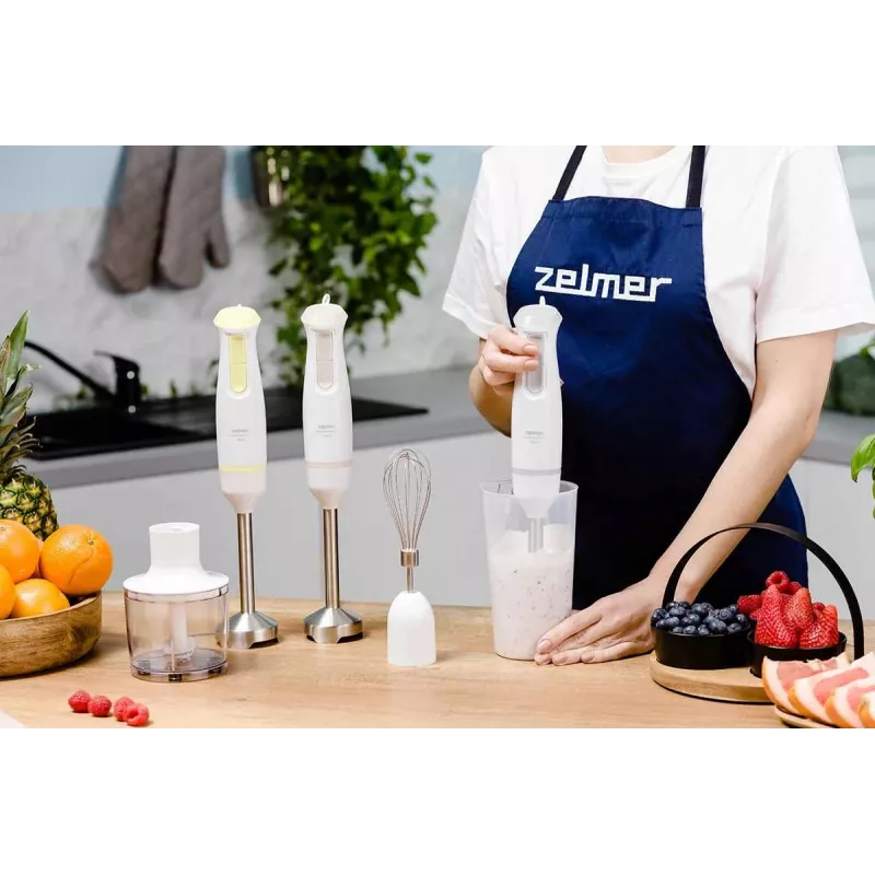 Zelmer ZHB4562S Pulsar Deluxe Max Panardinis blenderis pilkai sidabrinis