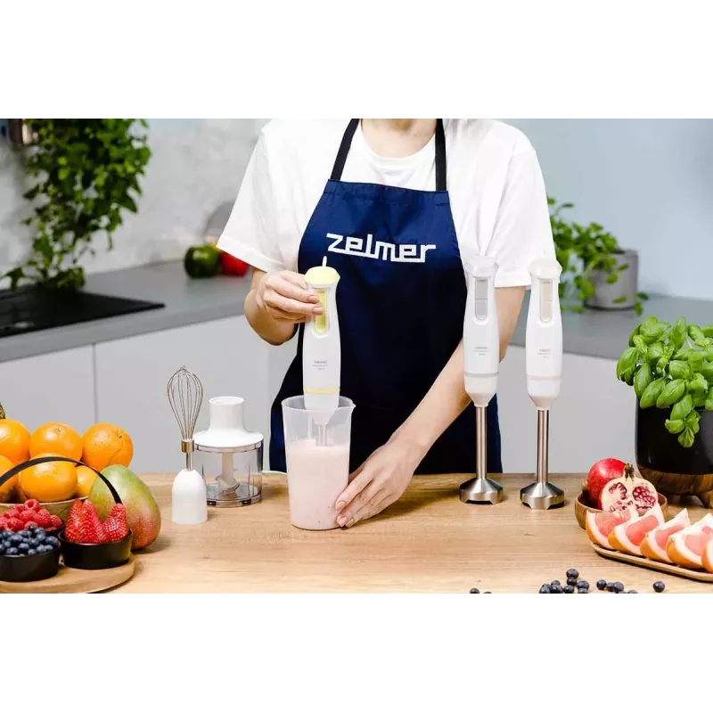 Zelmer ZHB4562S Pulsar Deluxe Max Panardinis blenderis pilkai sidabrinis