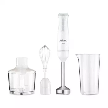 Zelmer ZHB4562S Pulsar Deluxe Max Panardinis blenderis pilkai sidabrinis