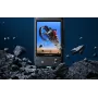 Apsauginis stiklas Insta360 X3 – Grūdintas stiklas 9H, 2 vnt. pakuotė