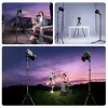 Ulanzi TT43II Mini Tripod / Lighting Stovas - 43cm, 2kg apkrova, juoda