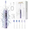 Dreame E10F sonic elektrinis dantų šepetėlis, rinkinys, violetinės spalvos