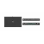 Kramer Electronics SWT3-21-HU-TR 2x1 USB-C/HDMI Switcher Extender 4K@60Hz HDBaseT 3.0