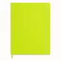 Moleskine Classic Notebook A4 Lined Myrtle Green Soft Cover