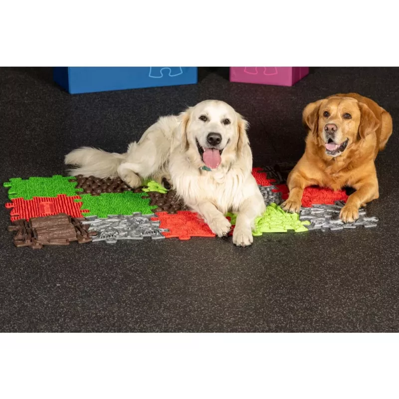 Muffik Orthopedic Sensory Mat Set 8-in-1 for Dogs MFK-069