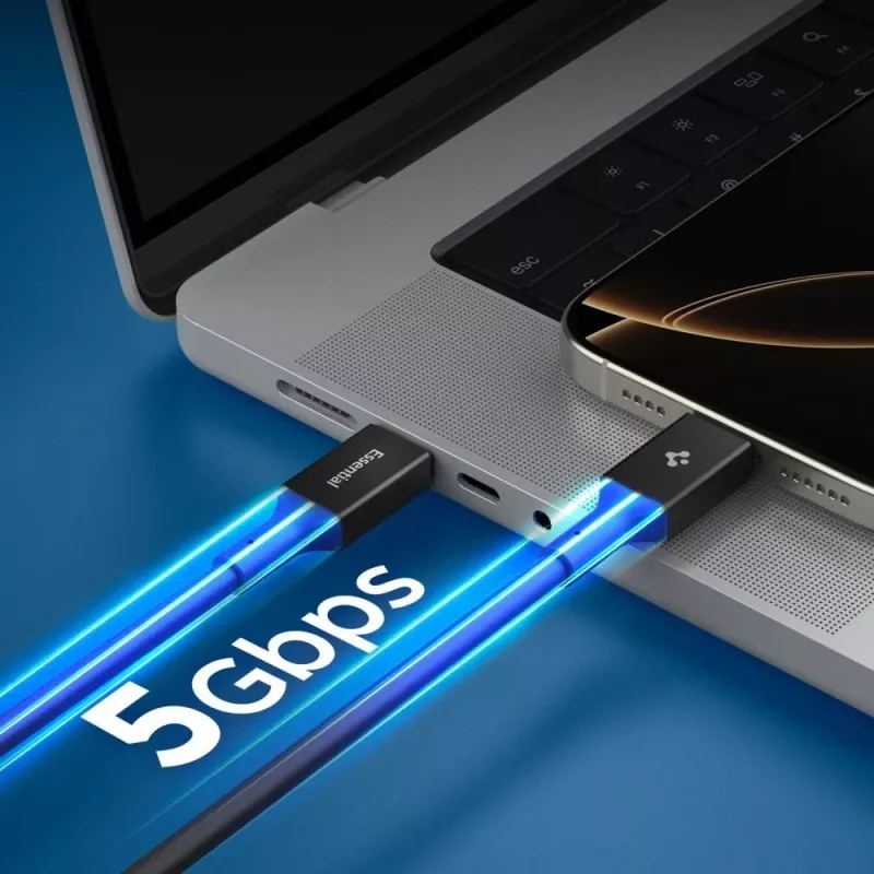 SPIGEN EB10020CC Essential USB-C į USB-C laidas 100W 200cm Juodas