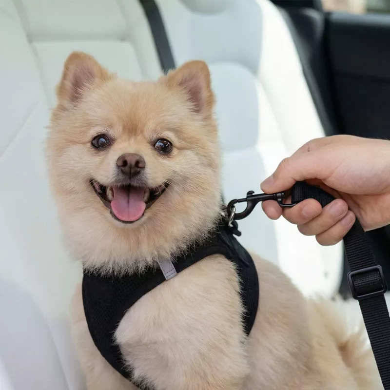 SPIGEN PS100 Universal Car Seat Belt Holder for Pets Black