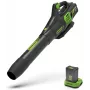 Greenworks 60V belaidis ašinis lapų pūstuvas GD60AB (be akumuliatoriaus)