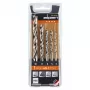 ALPEN-MAYKESTAG Alpen PTM 5 Profi Holz medieninių grąžtų rinkinys, 5 vnt., 4–10 mm