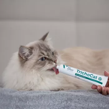 VETEXPERT TrichoCat Anti-Hairball Paste for Cats 50 g