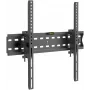 Red Eagle Magnum Plus TV laikiklis 32-65"
