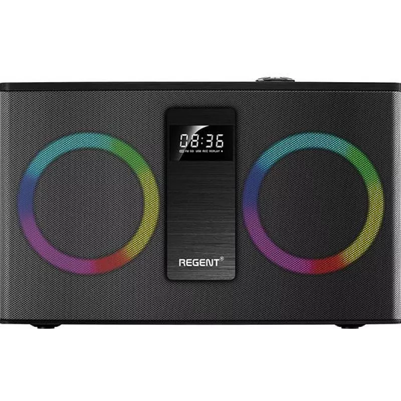 Ferguson Regent Power Audio 300BT RGB FM nešiojamas Bluetooth garsiakalbis
