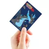 Ultra PRO Pokemon kaladės apsaugos Deck Protector 66x91 mm, Charizard X
