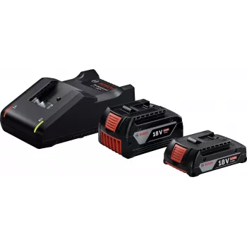 Bosch Professional 18V Starter Set (GBA 18V 4.0/2.0Ah + GAL 18V-40 Professional) (juodas, 2x Li-Ion baterija, AMPShare Alliance)
