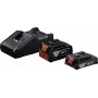 Bosch Professional 18V Starter Set (GBA 18V 4.0/2.0Ah + GAL 18V-40 Professional) (juodas, 2x Li-Ion baterija, AMPShare Alliance)
