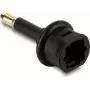 Delock Mini TOSLINK 3,5 mm kištukas į TOSLINK lizdą adapteris