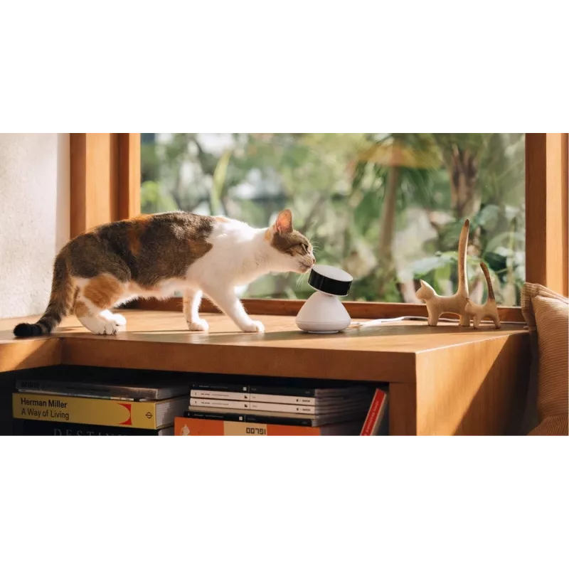 PETLIBRO Scout išmanioji AI augintinio kamera 1080p Full HD su dvipusiu garsu, naktiniu matymu, judesio ir garso aptikimu, 130° plačiu kampu, Wi-Fi, MicroSD/Cloud saugykla, balta