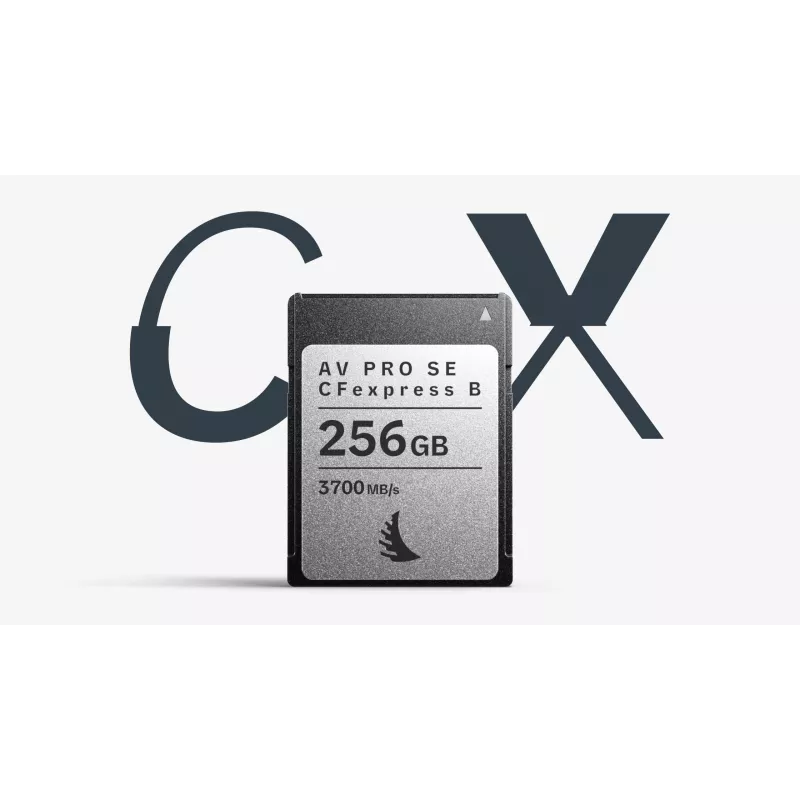Angelbird AV PRO SE CFexpress Type B 256GB atminties kortelė