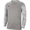 Nike Dry Park IV JSY LS GK vyriškas vartininko megztinis pilkas CJ6066 052 S