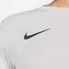 Nike Dry Park IV JSY LS GK vyriškas vartininko megztinis pilkas CJ6066 052 2XL