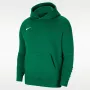 Nike Park 20 Fleece Pullover gobtuvas Pine Green CW6896-302
