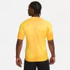 Nike Dri-FIT ADV Gardien IV vyrų vartininko marškinėliai Opti Yellow/Black M