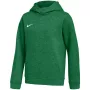 Nike Park 26 Fleece gobtuvas vaikams žalias IB1226 302 M