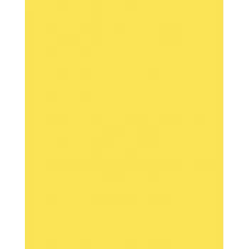 Folia 614/50 12 geltonas A4 kartonas 300 g/m², 50 lapų