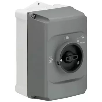 ABB STOTZ-KONTAKT IB132-G izoliuojantis korpusas, 2 moduliai, montuojamas ant paviršiaus, IP30, baltas (1SAM201911R1010)