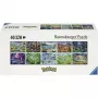 RAVENSBURGER Pokémon Celebration Journey 40000 dalių dėlionė