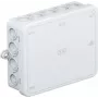 OBO A 18 kabelių jungčių dėžutė 125x100x38 mm šviesiai pilka RAL 7035