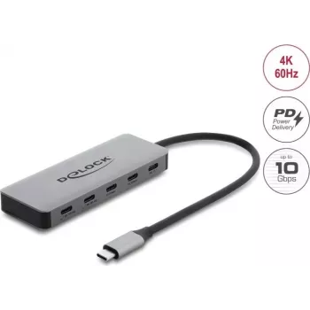 Delock 2-Port USB 10 Gbps Hub su 2-Port USB-C 4K ir PD 3.0 100 W