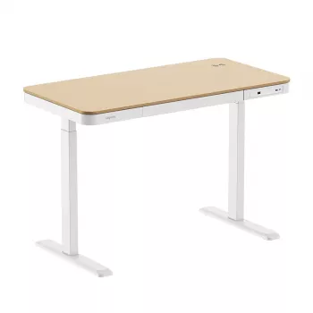 LogiLink reguliuojamo aukščio stalas su elektrine pavara, 118x60 cm, su belaidžiu įkrovimu, baltas