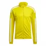 adidas Squadra 21 Training Yellow GP6465 S vyriškas sportinis megztinis