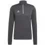 adidas Entrada 22 treniruočių marškinėliai Grey Four XL
