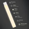 LogiLink LED022 LED šviestuvas po spintele su PIR jutikliu, 300 mm, 100 lm, sidabrinis