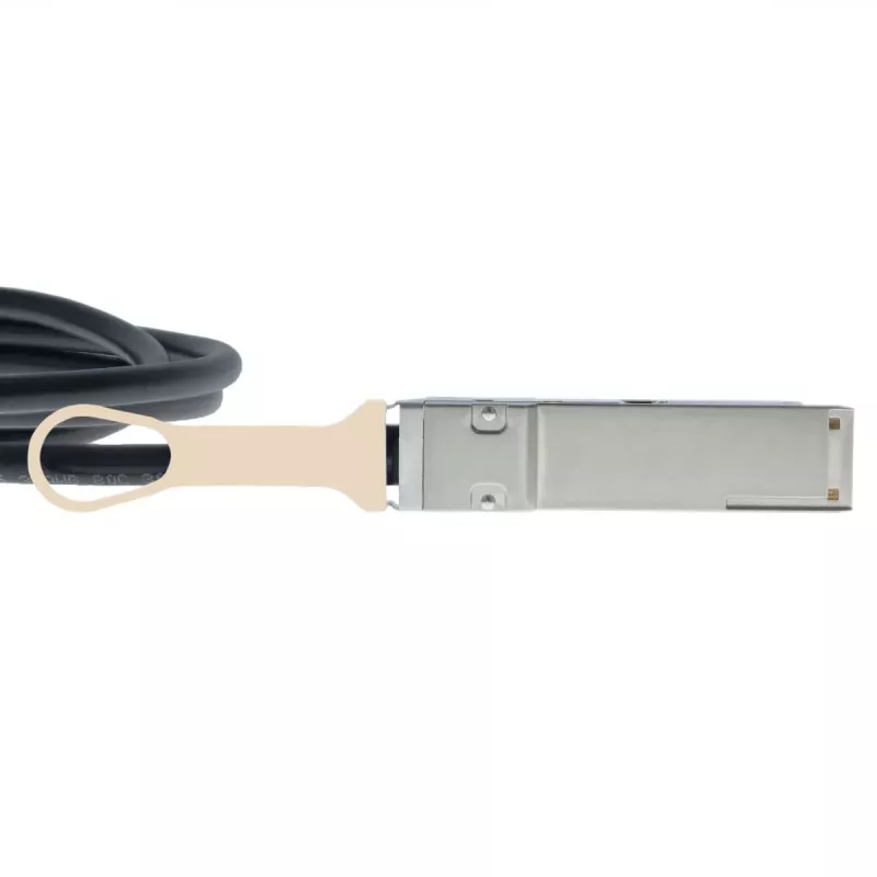 BlueOptics NetApp X66120-2 suderinamas BlueLAN QSFP+ tiesioginio prijungimo varinis kabelis 30 m