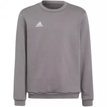 adidas Entrada 22 Sweat Top vaikų pilkas megztinis H57477 (116 cm)
