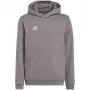 adidas Entrada 22 Hoody vaikiškas megztinis pilkas 116 cm