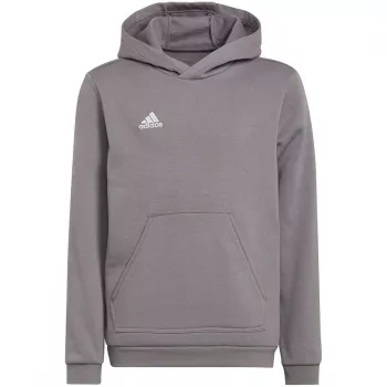 adidas Entrada 22 gobtuvas Medium Grey Heather vaikams 128 cm