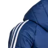 adidas Tiro 24 žiemos striukė mėlyna IR9501 128 cm
