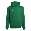 adidas Entrada 22 Hoody vaikiškas megztinis su gobtuvu žalias 116cm