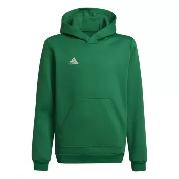 adidas Entrada 22 Hoody vaikiškas megztinis su gobtuvu žalias 116cm