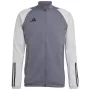 adidas Tiro 23 Competition vyriškas treniruočių megztinis pilkas HP1908