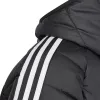 adidas Tiro 24 Winter vaikiška striukė juoda IP6670 140cm