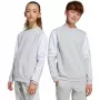adidas Squadra 25 Sweat Crew vaikiškas megztinis pilkas JD4824 152cm