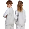 adidas Squadra 25 Sweat Crew vaikiškas megztinis pilkas JD4824 152cm