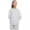 adidas Squadra 25 Sweat Crew vaikiškas megztinis pilkas JD4824 152cm